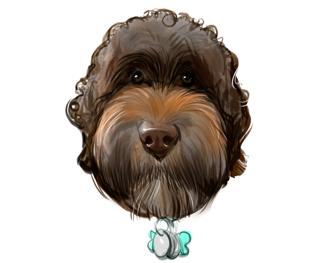 Studio caricatures and illustrations in Halifax