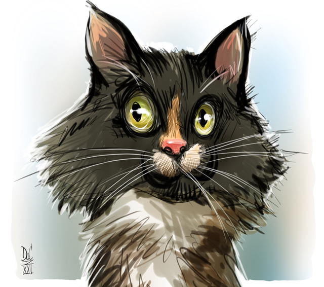 Studio caricatures and illustrations in Halifax