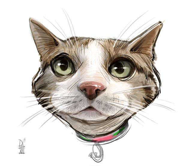 Studio caricatures and illustrations in Halifax