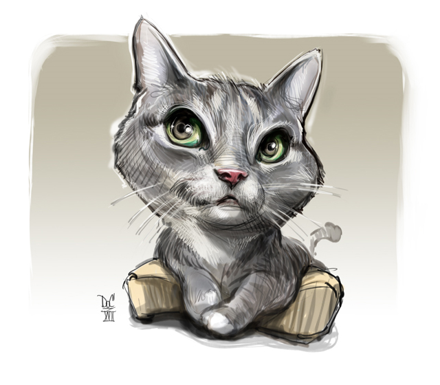 Studio caricatures and illustrations in Halifax