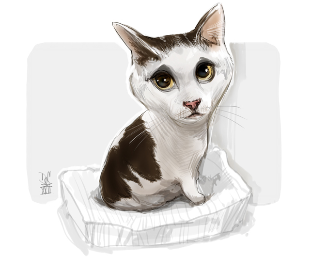 Studio caricatures and illustrations in Halifax