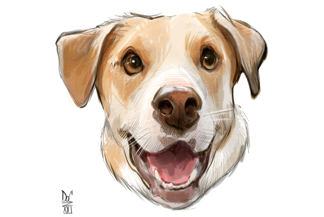 Studio caricatures and illustrations in Halifax