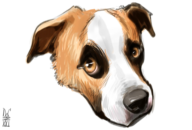 Studio caricatures and illustrations in Halifax