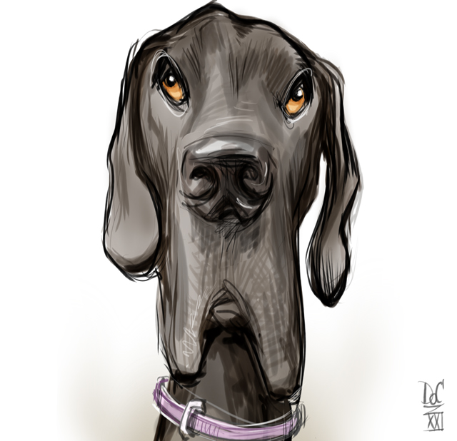 Studio caricatures and illustrations in Halifax