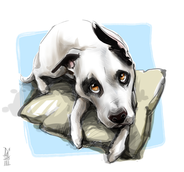 Studio caricatures and illustrations in Halifax