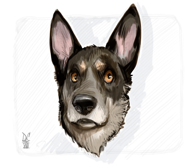 Studio caricatures and illustrations in Halifax