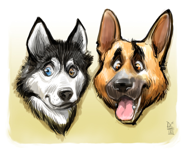 Studio caricatures and illustrations in Halifax